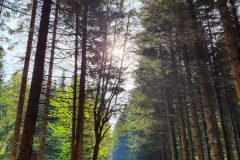 20210604_082350-scaled
