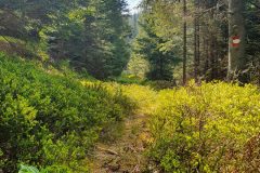 20210604_093219-scaled