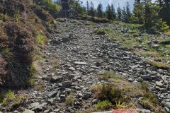 20210604_101544-scaled