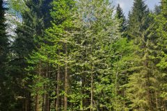 20210604_132035-scaled
