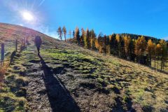 20211106_125337-scaled
