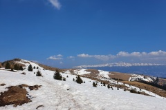 20220326_125139