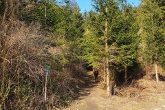 20210327_083629-scaled