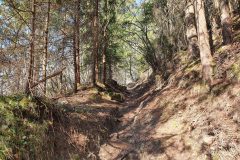 20210327_084947-scaled