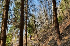 20210327_085354-scaled