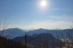 20210327_085456-scaled