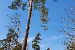 20210327_085555-scaled