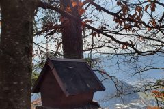 20210327_085658-scaled