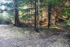 20210327_091727-scaled