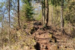 20210327_093041-scaled