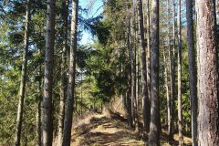 20210327_094449-scaled
