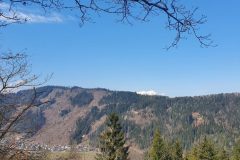 20210327_112521-scaled