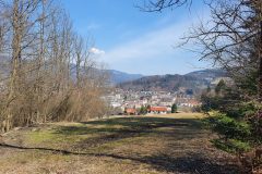 20210327_114323-scaled