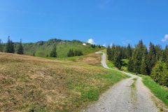 20210618_095235-scaled