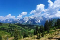 20210618_113759-scaled