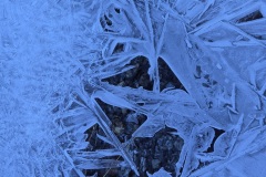 20241110_084759