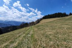 20210425_122615-scaled