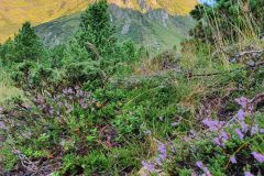 20210821_071902-scaled