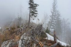 20210501_101653-scaled