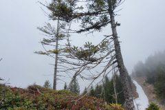 20210501_102052-scaled