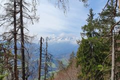 20210501_114551-scaled