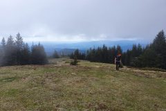 20210530_084033-scaled