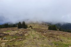 20210530_084326-scaled
