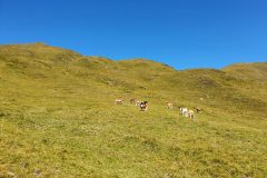 20210901_103148-scaled