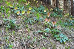 20210603_094621-scaled