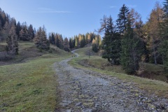 20241027_090335