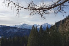 20210313_101317-scaled