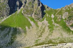 20210721_081652-scaled