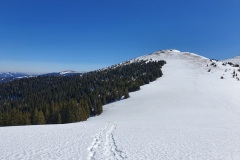 20220313_113005