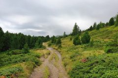 20210807_085245-scaled