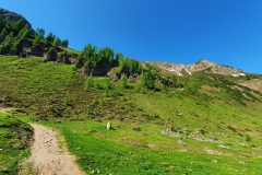 20210617_093300-scaled