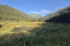 20260725_072907