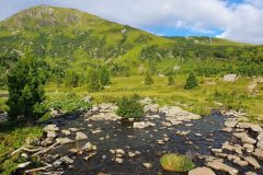 20230731_080350-scaled