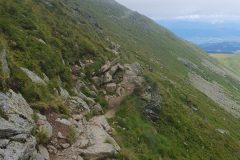 20230731_104906-scaled